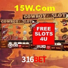 Security Systems 316bet