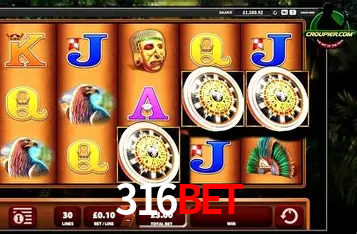 Account Benefits 316bet